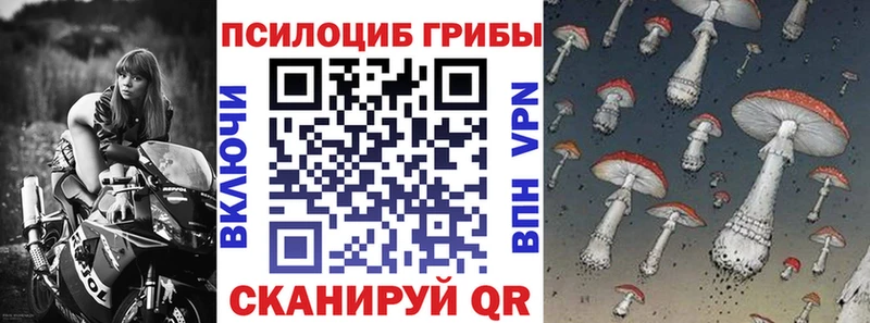 Псилоцибиновые грибы MAGIC MUSHROOMS  Кингисепп 